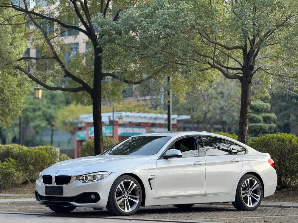 BMW 4-Series, 2014