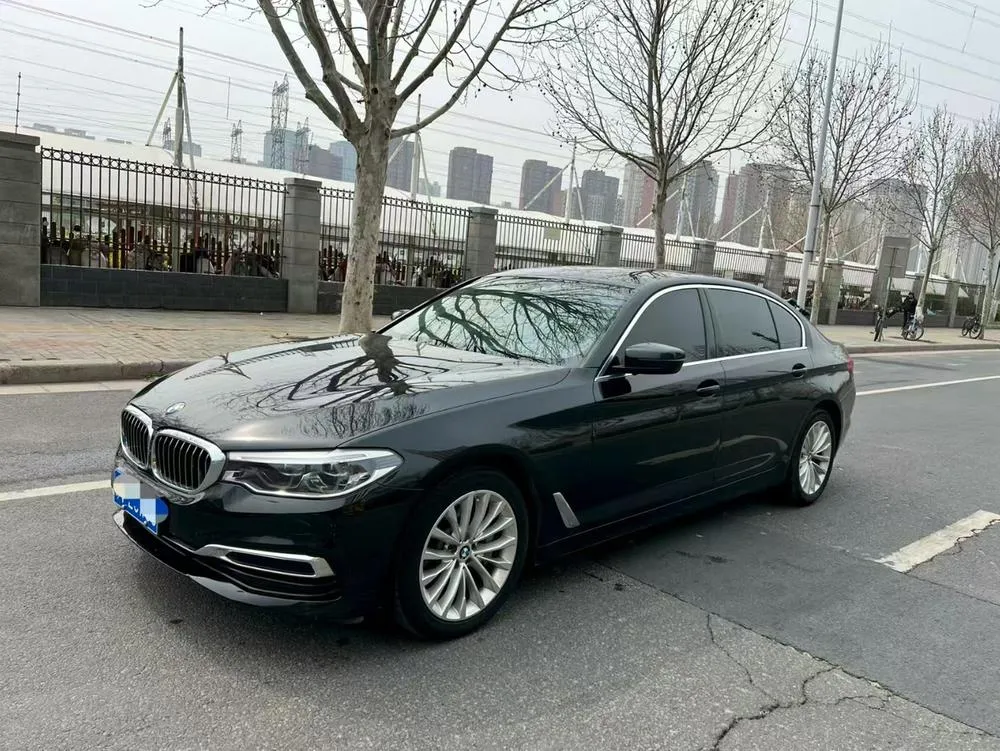 БМВ 5-Series 530Li Leading Version Luxury, 2020 — фото 1