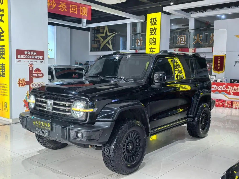 Tank 300, 2021