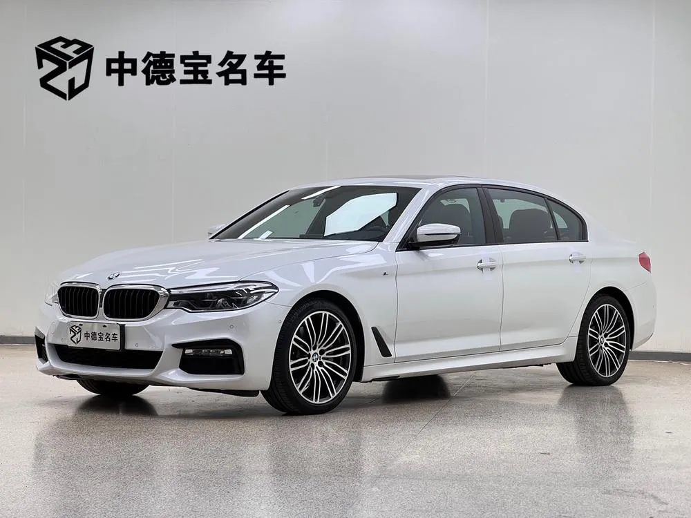 BMW 5-Series 530Li Prestige Version M Sport, 2018 — фото 1