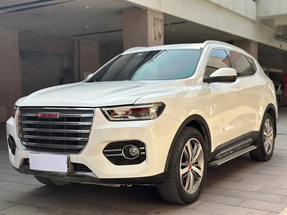 Haval H6 Red Label 1.3T автомат 2WD умный стиль версия, 2017 — фото 1