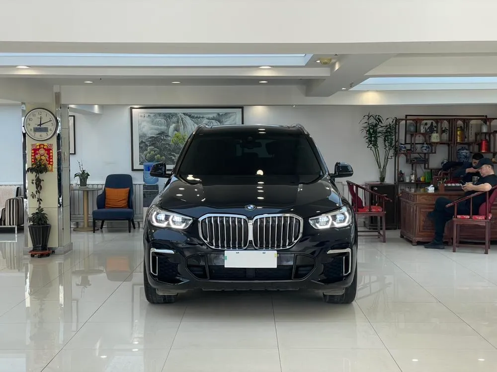 BMW X5 xDrive 30Li Prestige Version M Sport, 2022 — фото 1