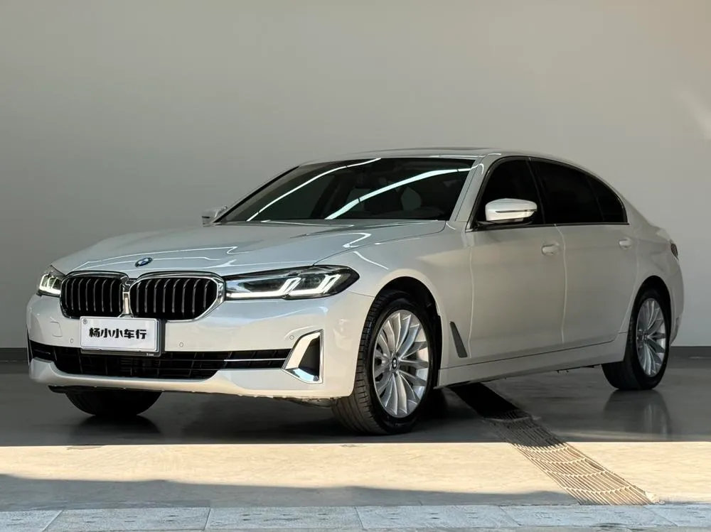 BMW 5-Series 525Li Luxury, 2022 — фото 1