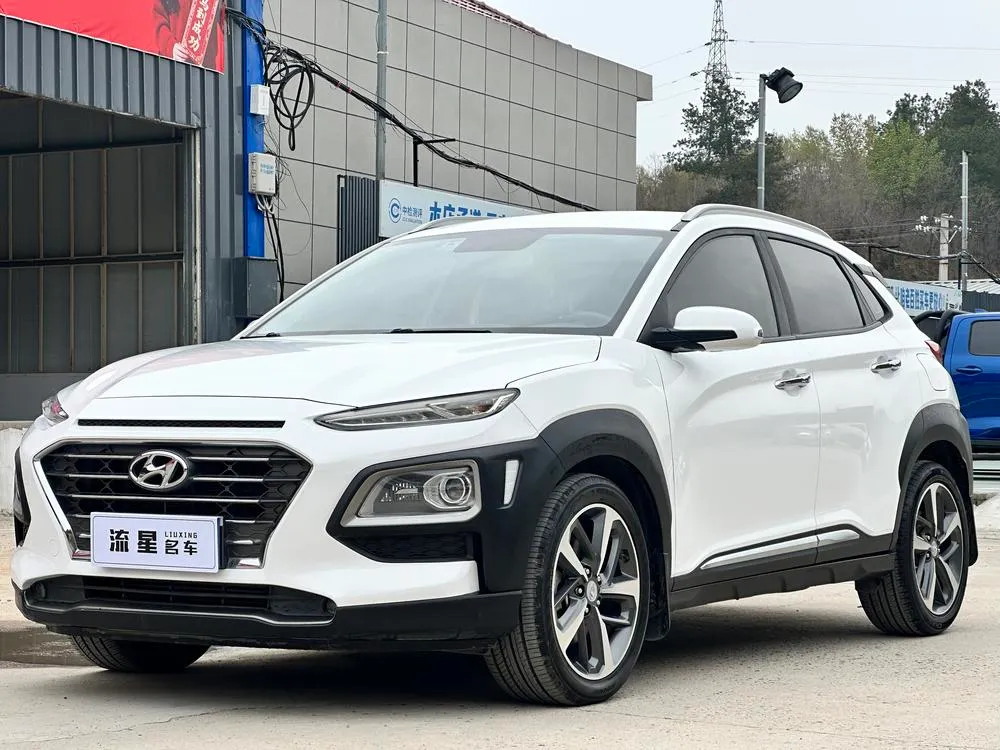 Hyundai Encino 1.6T Elite Edition, 2018 — фото 1