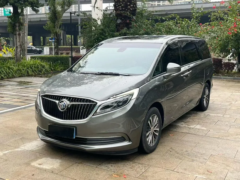 Buick GL8 ES 28T Luxury Version CN5, 2017 — фото 1