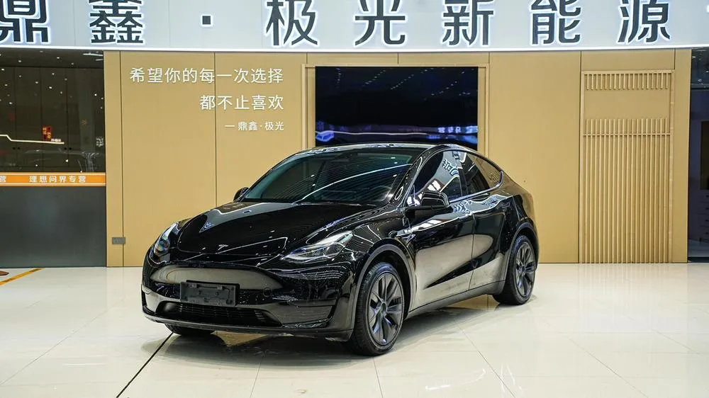 Tesla Model Y Edition, 2023 — фото 1