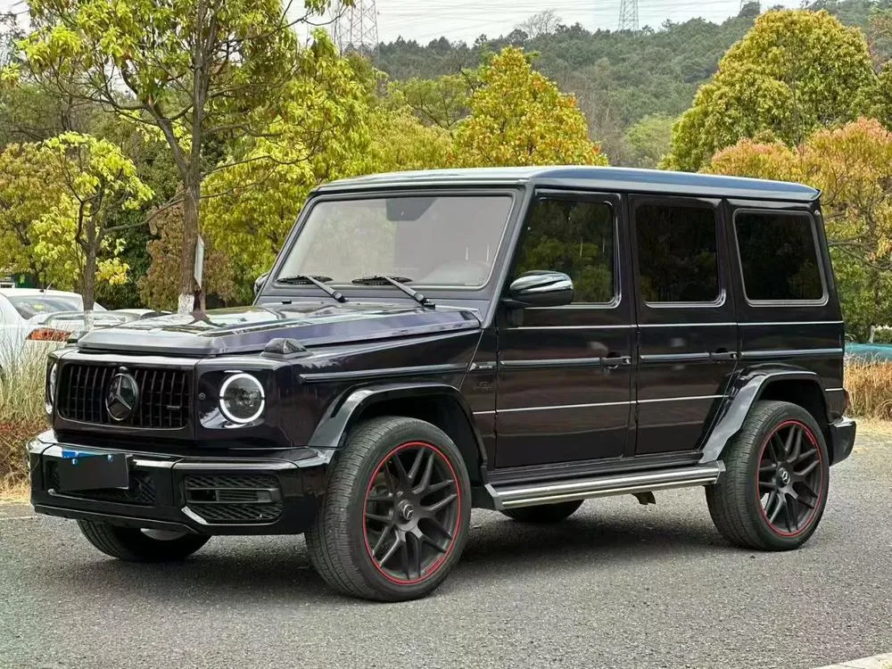Mercedes-Benz G-Class G 500 Edition, 2017 — фото 1
