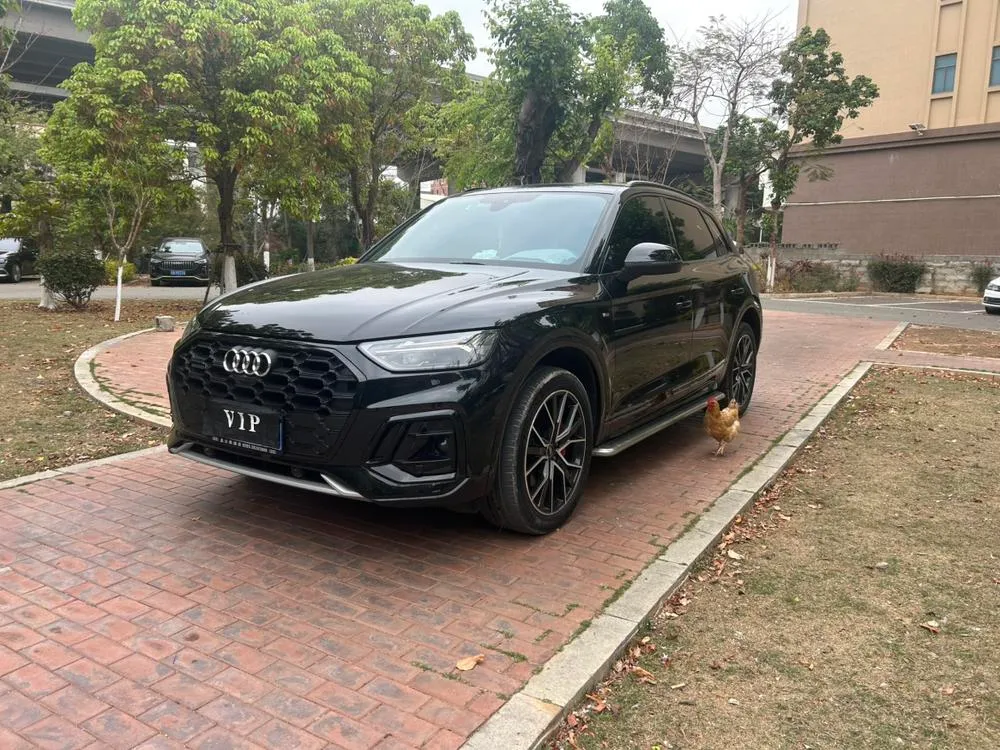 Audi Q5L 40TFSI Luxury Version, 2024 — фото 1