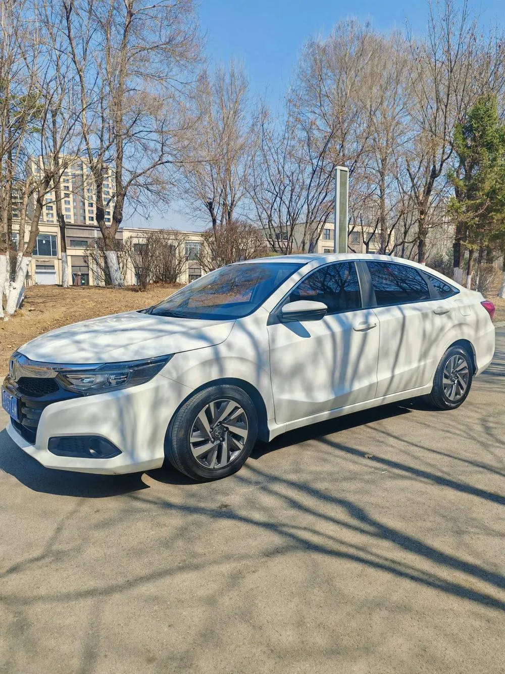 Honda Crider, 2019