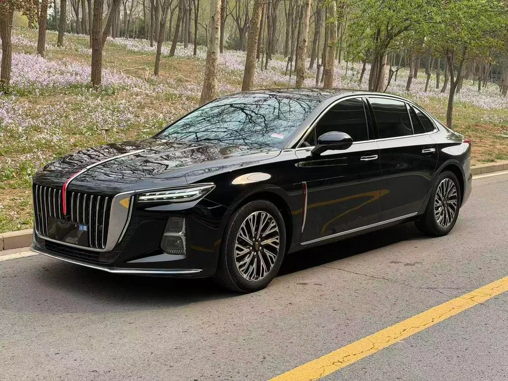 Hongqi H5, 2024