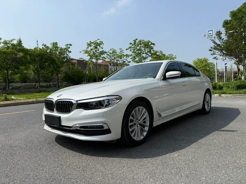 BMW 5-Series 530Li Leading Version Luxury, 2019 — фото 1