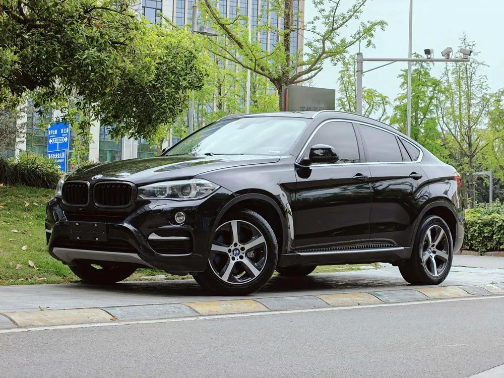BMW X6 xDrive35i Luxury Version, 2017 — фото 1