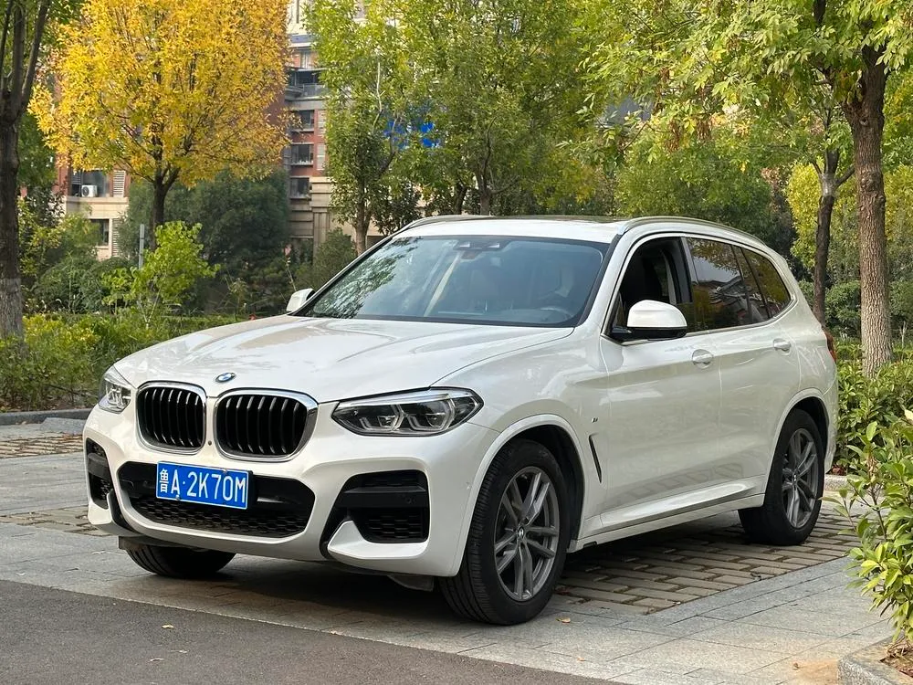 BMW X3 xDrive28i M Sport, 2019 — фото 1