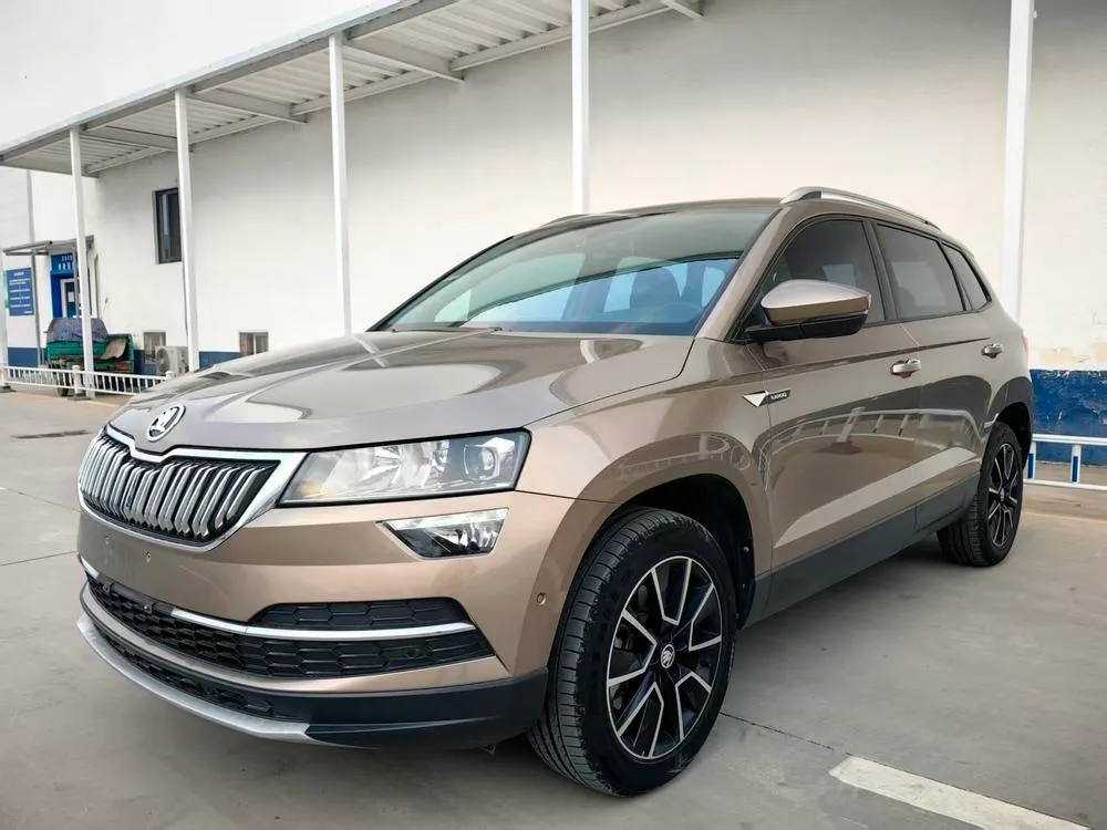 Skoda Karoq TSI280 Edition CN6, 2019 — фото 1
