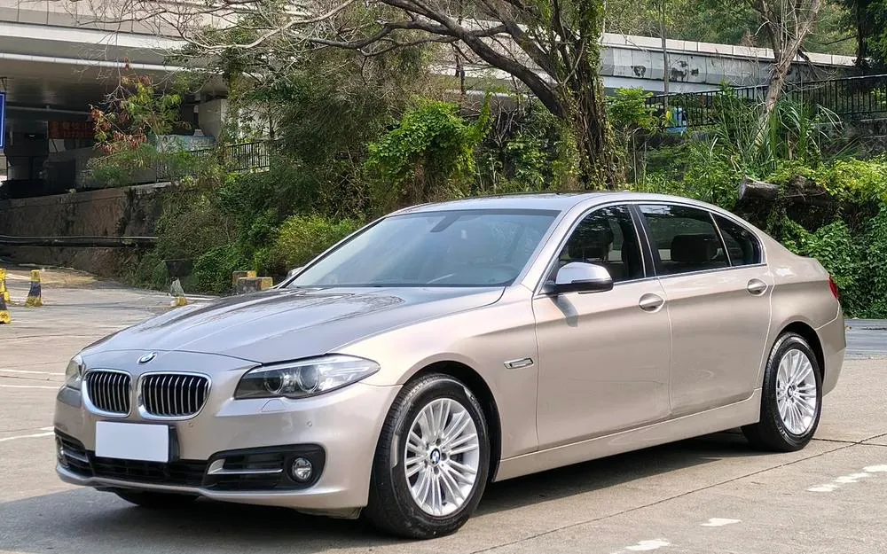 БМВ 5-Series 525Li Leading Version, 2014 — фото 1