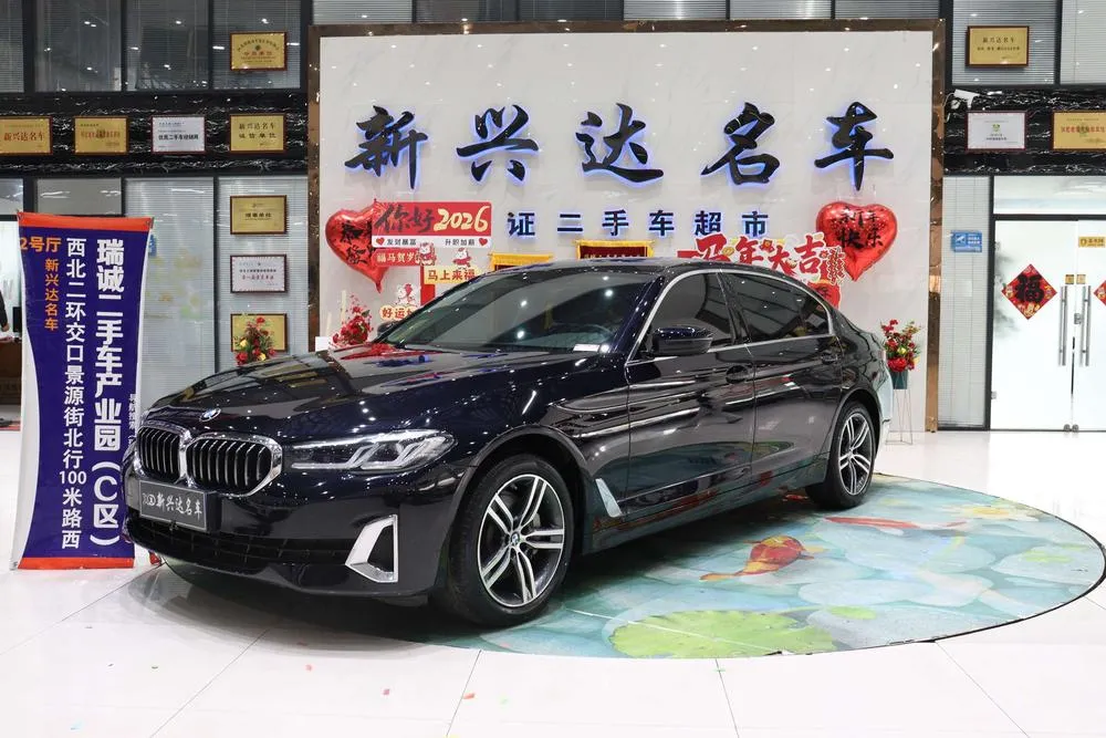 БМВ 5-Series 530Li Leading Version Luxury, 2021 — фото 1