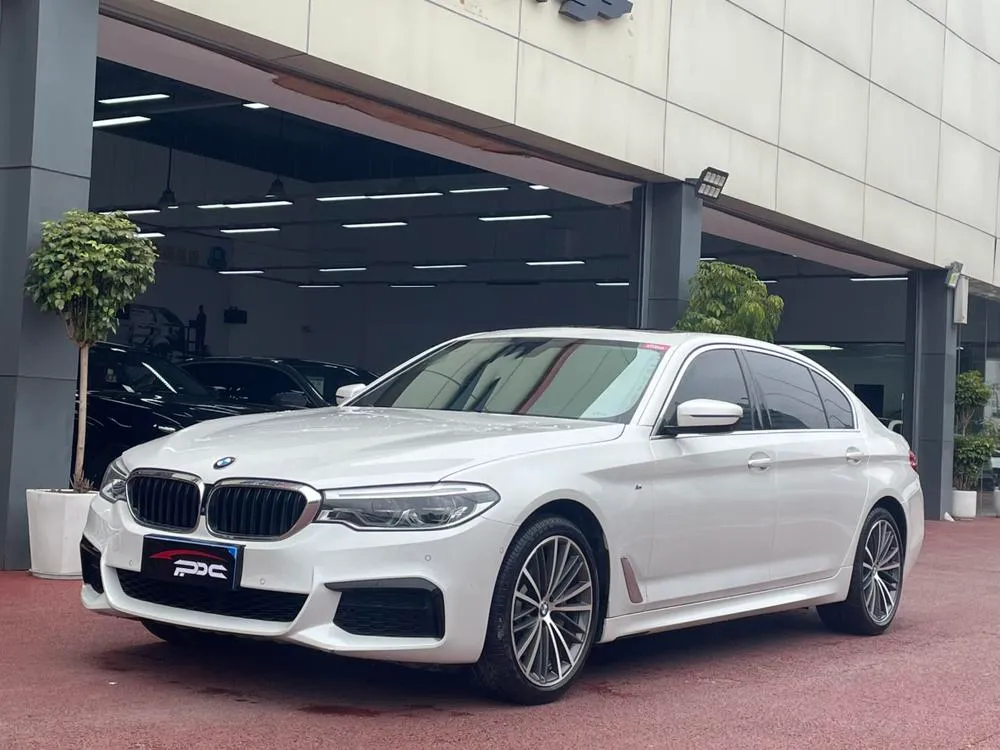 БМВ 5-Series 530Li Prestige Version M Sport, 2020 — фото 1