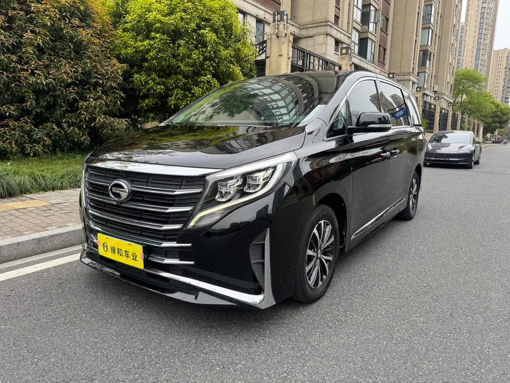GAC Trumpchi Trumpchi M8 Series 390T Prestige Edition, 2021 — фото 1