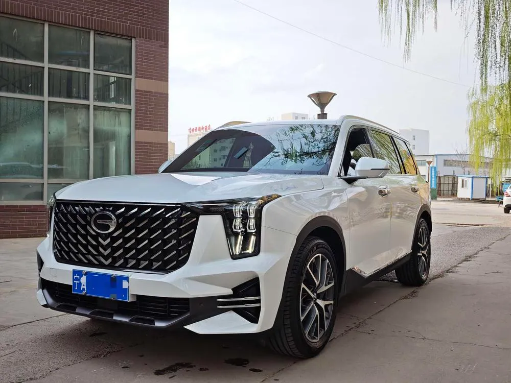 Трампчи Trumpchi GS8 Navigator Series 2.0TGDI 2WD 5 Seater Luxury Edition, 2025 — фото 1