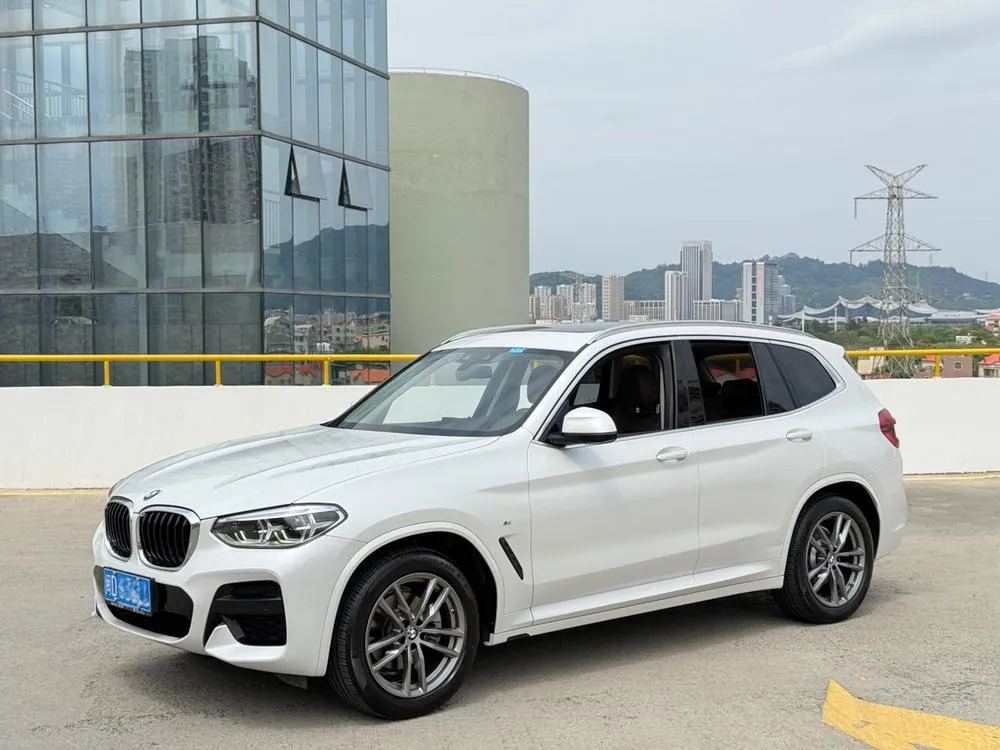BMW X3 xDrive25i Luxury, 2021 — фото 1