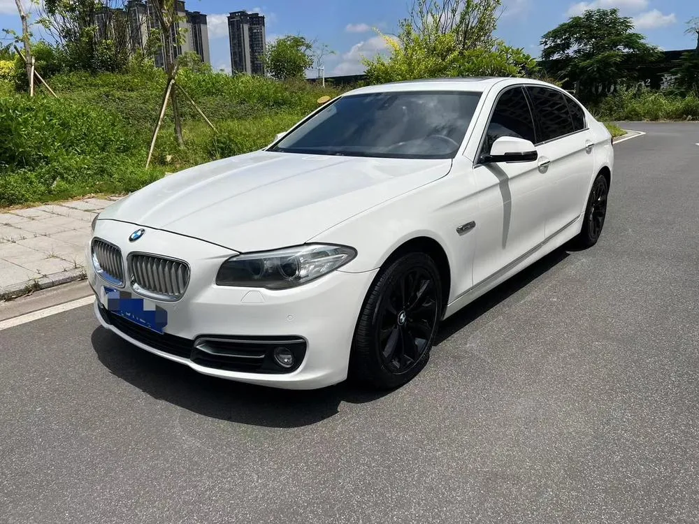 BMW 5-Series, 2014