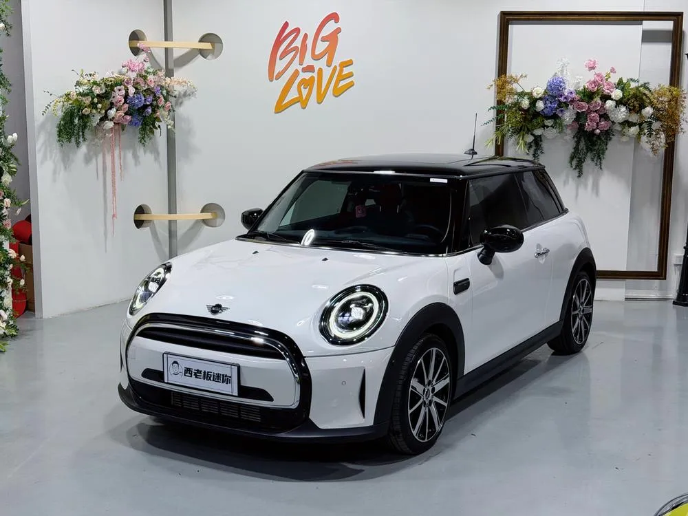 MINI MINI Facelift 1.5T COOPER Artist, 2023 — фото 1