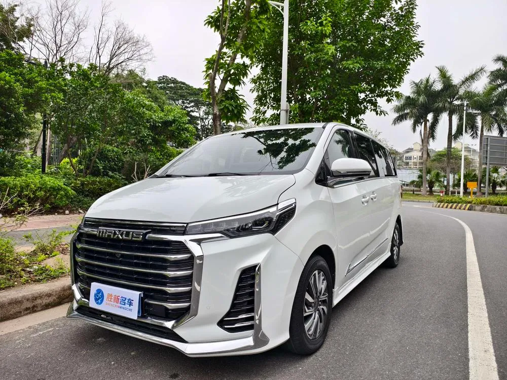 Maxus G20, 2021