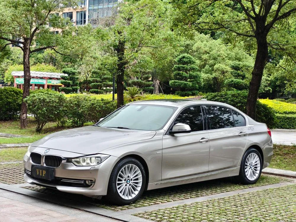 BMW 3-Series 320Li Luxury, 2013 — фото 1