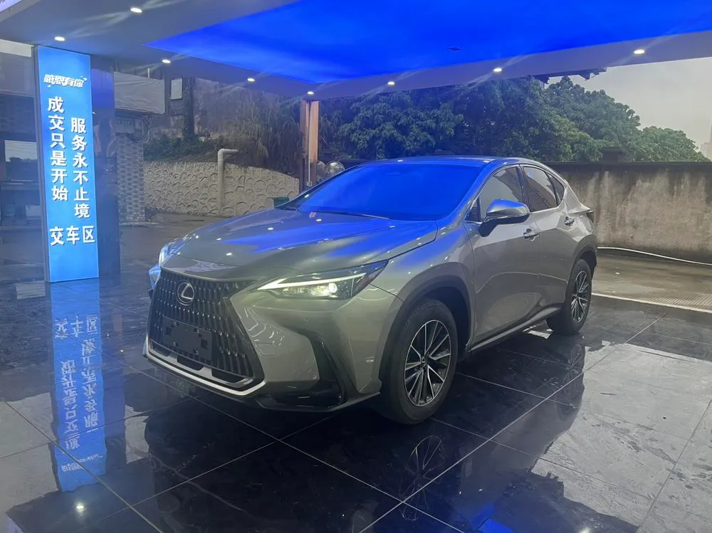 Lexus NX 260 FWD Rush Edition, 2023 — фото 1