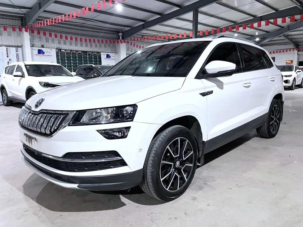 Skoda Karoq, 2019