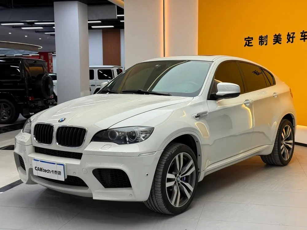 BMW X6 M X6 M, 2013 — фото 1