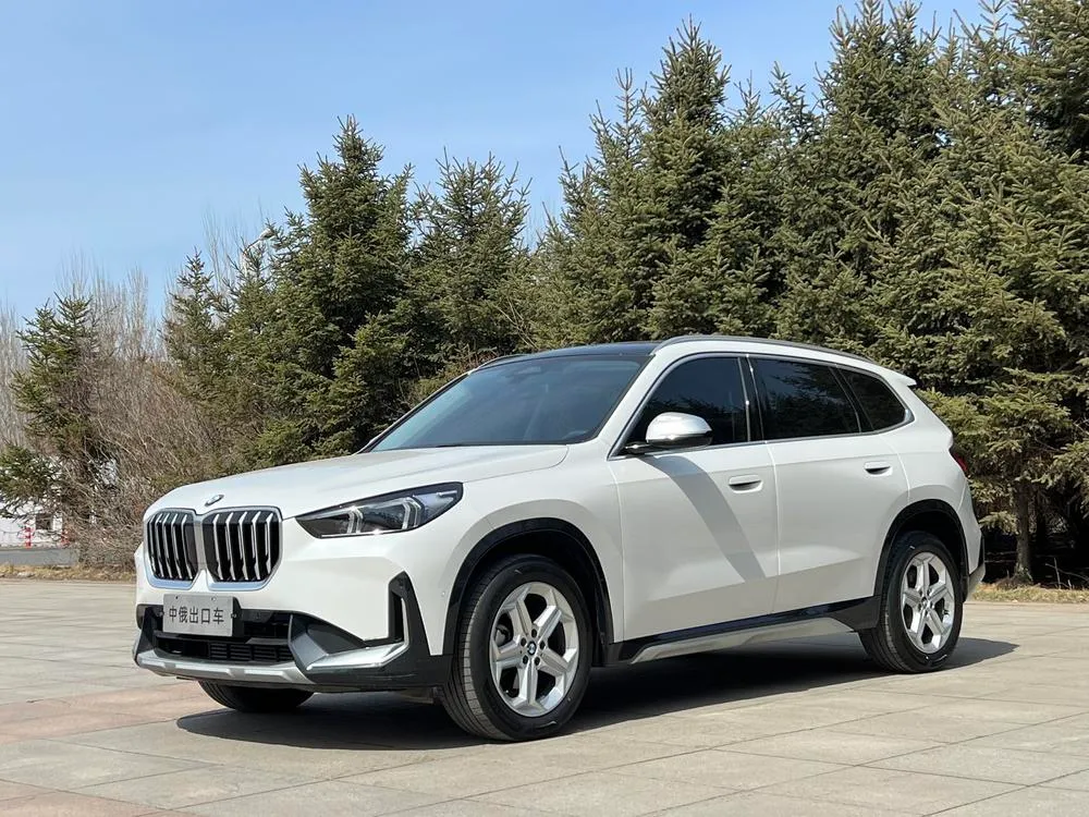 БМВ X1 sDrive20Li X, 2023 — фото 1