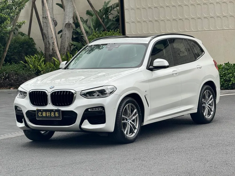 BMW X3 xDrive25i M Sport CN5, 2018 — фото 1