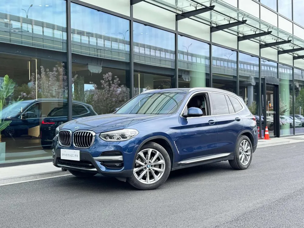BMW X3 xDrive25i Luxury, 2021 — фото 1