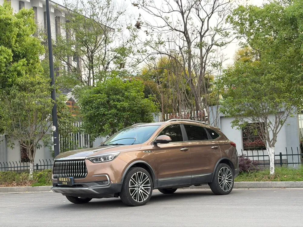 Leopaard Mattu, 2020