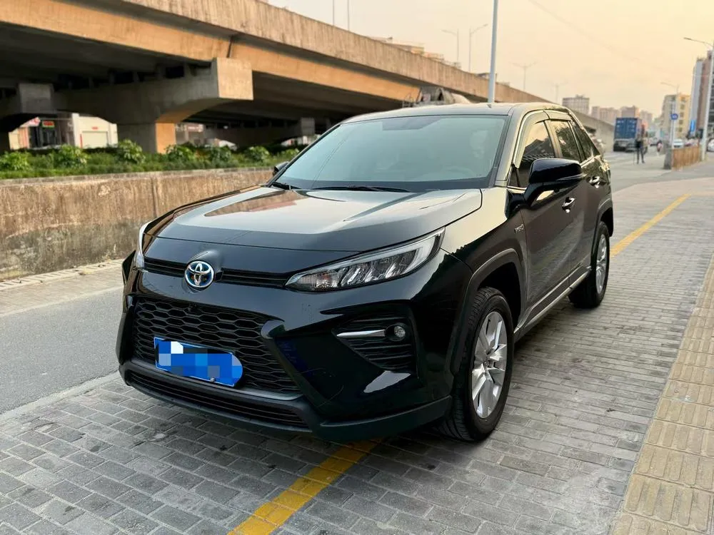 Toyota Wildlander, 2020