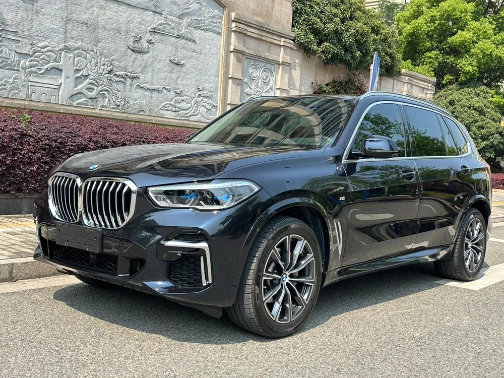 BMW X5 xDrive 30Li Prestige Version M Sport, 2022 — фото 1