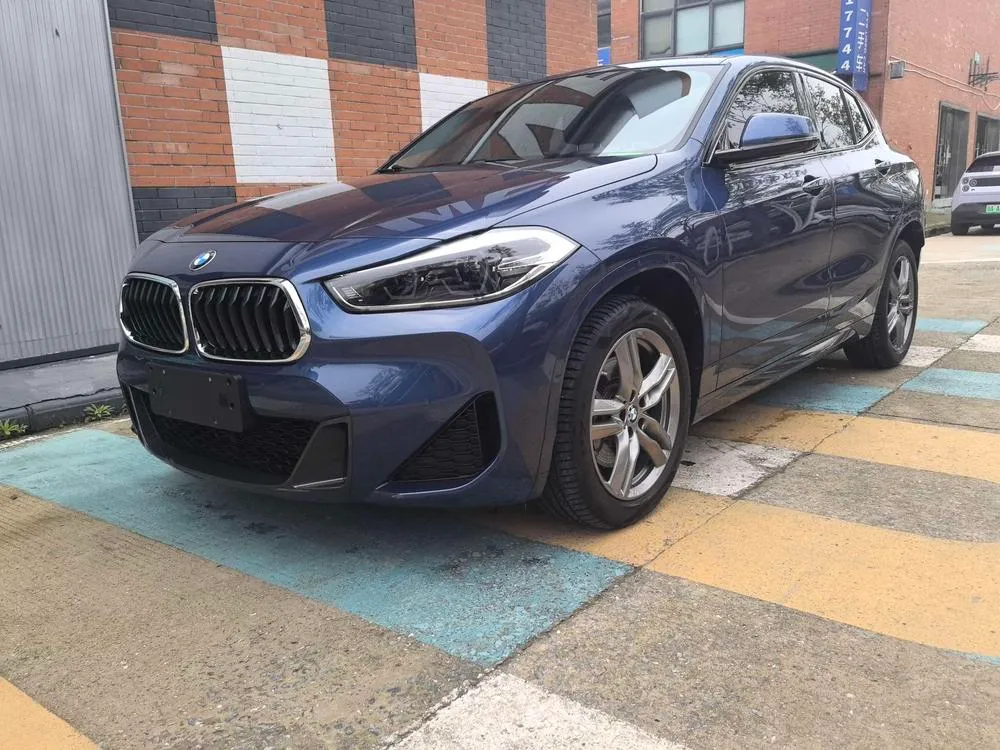 BMW X2 sDrive25i Leading Version M Sport, 2020 — фото 1