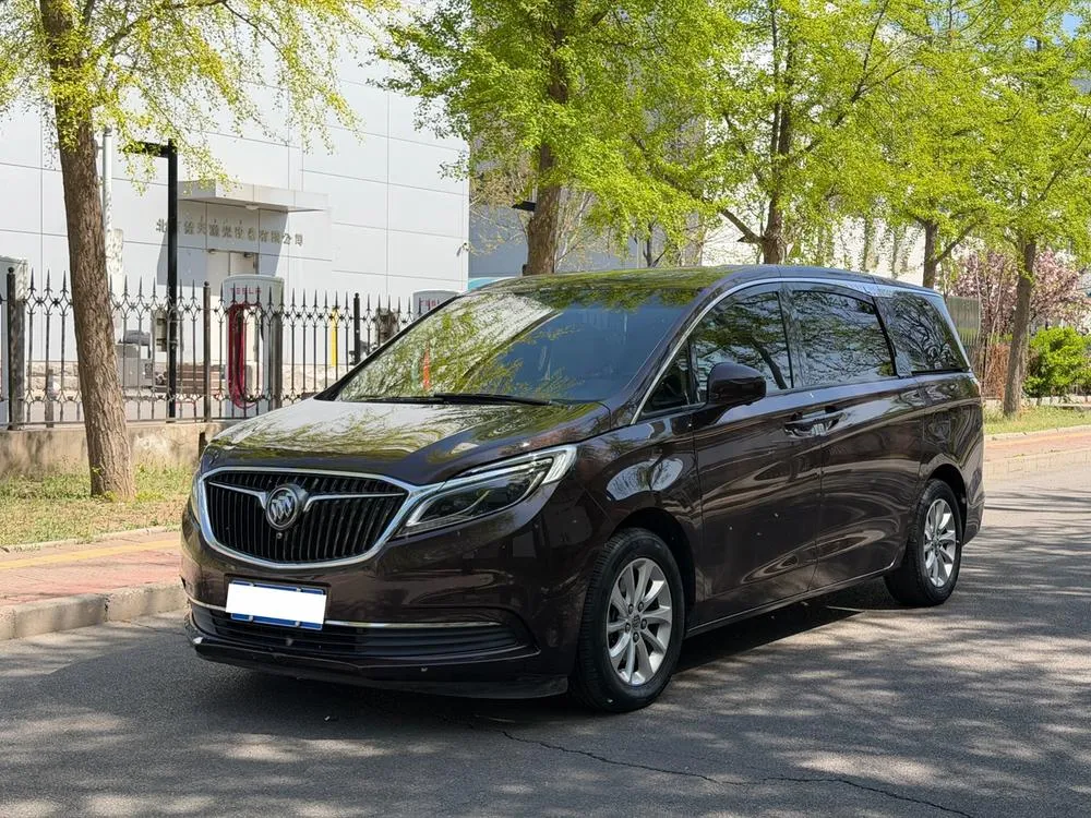 Buick GL8 ES 28T Prestige Version CN5, 2017 — фото 1