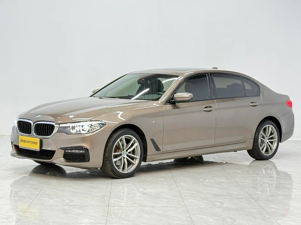 BMW 5-Series 525Li M Sport, 2019 — фото 1