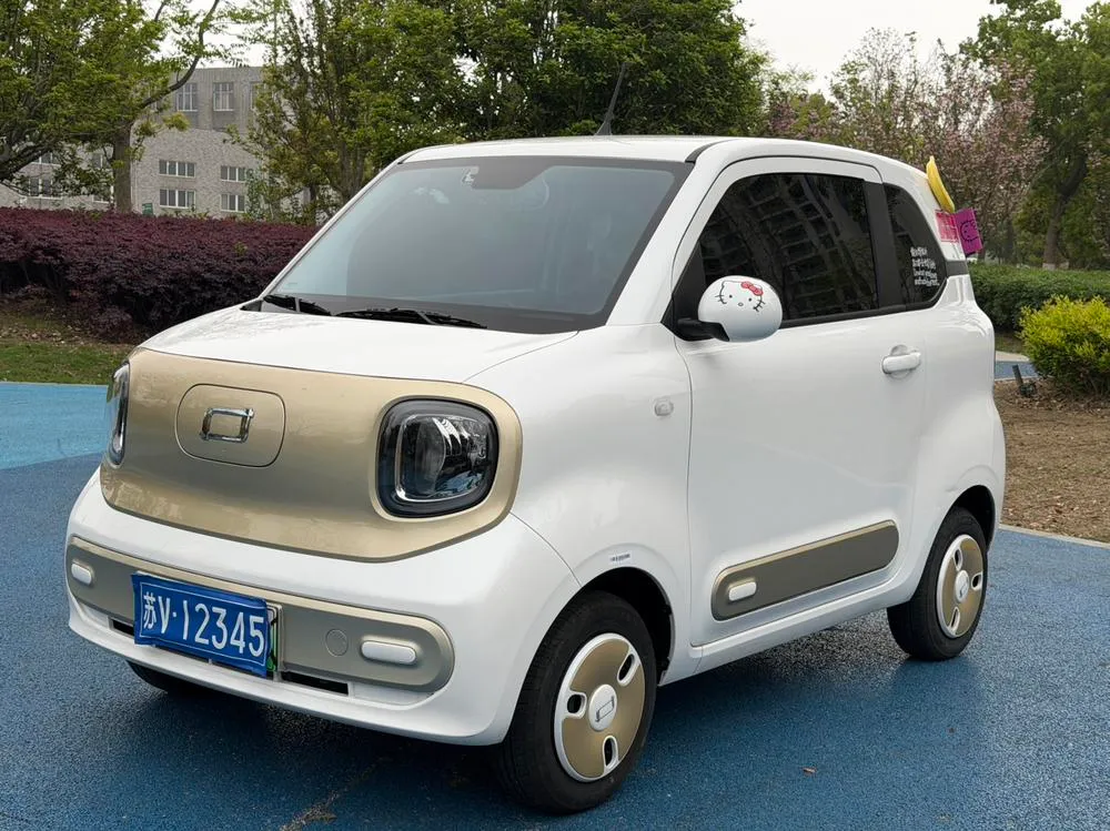 Besturn Bestune Pony, 2024
