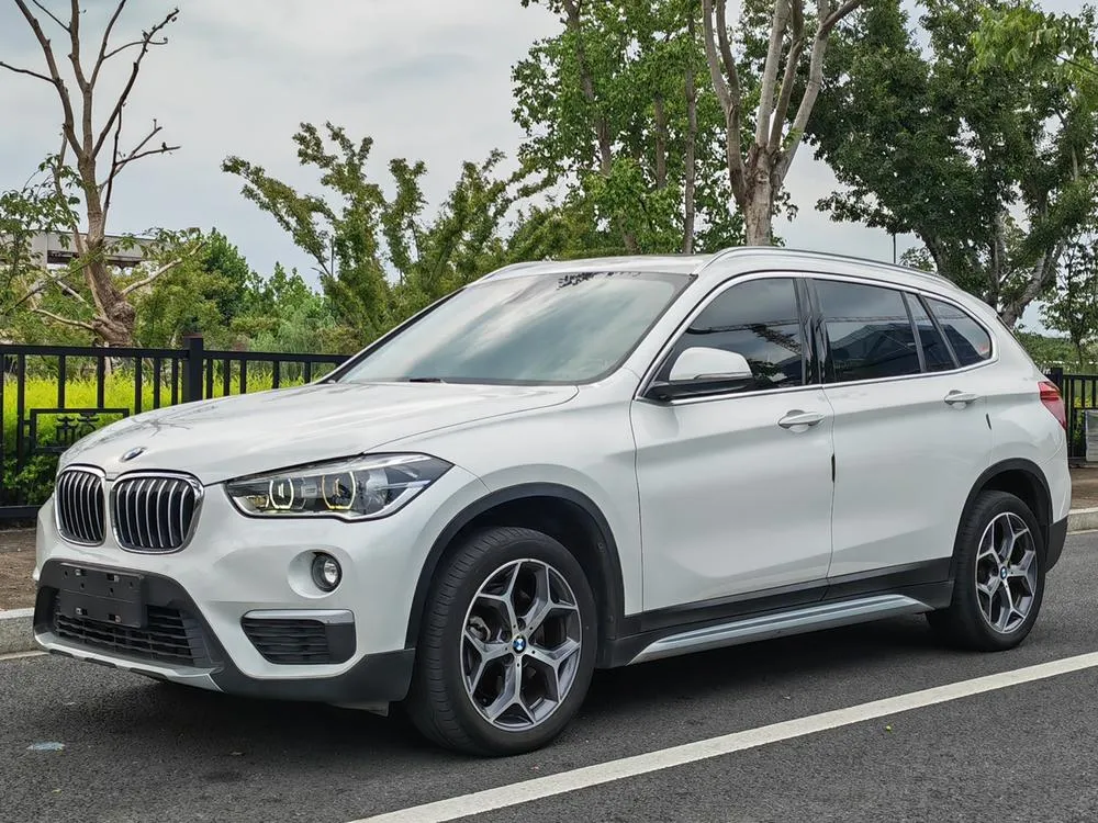 BMW X1 xDrive20Li Prestige Version, 2019 — фото 1