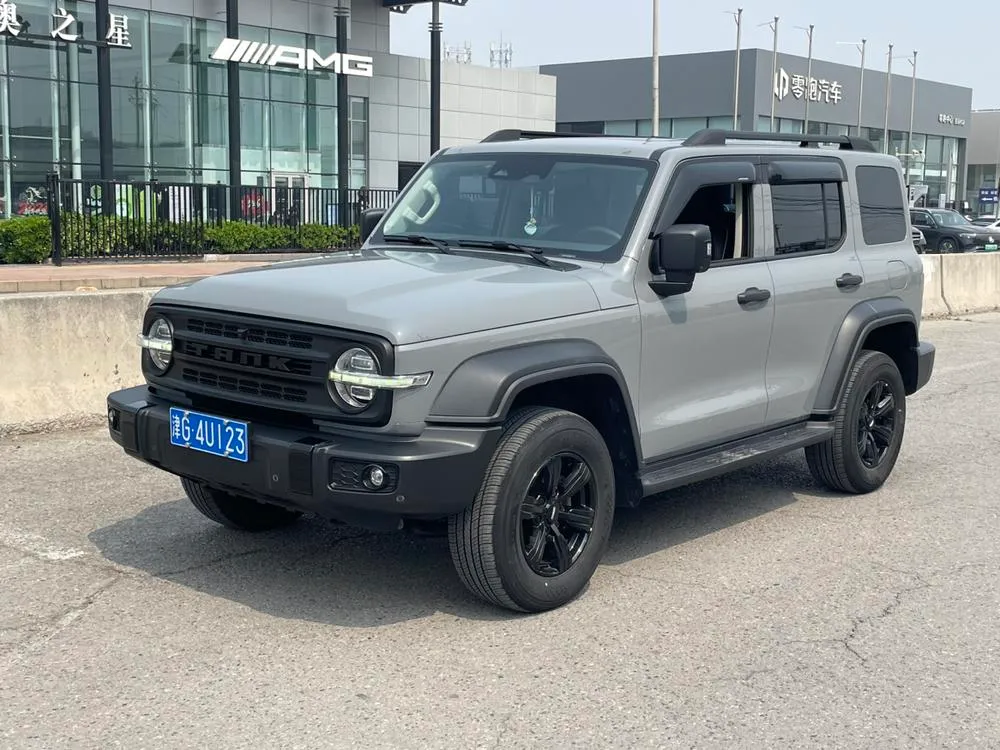 Tank 300, 2021