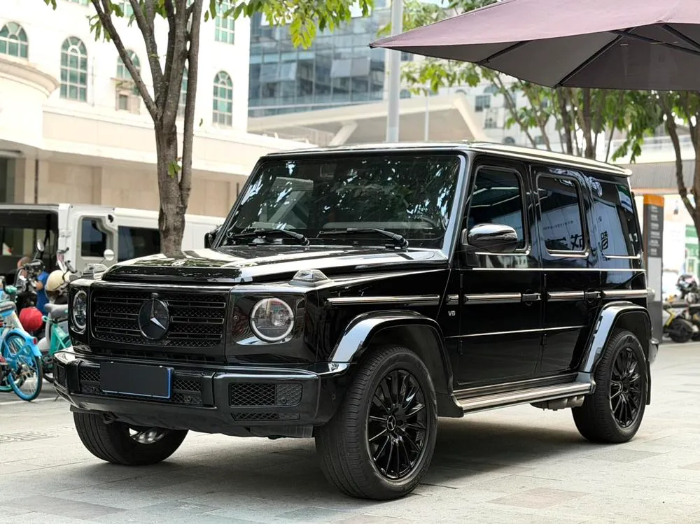 Mercedes-Benz G-Class G 500 Special Edition, 2020 — фото 1