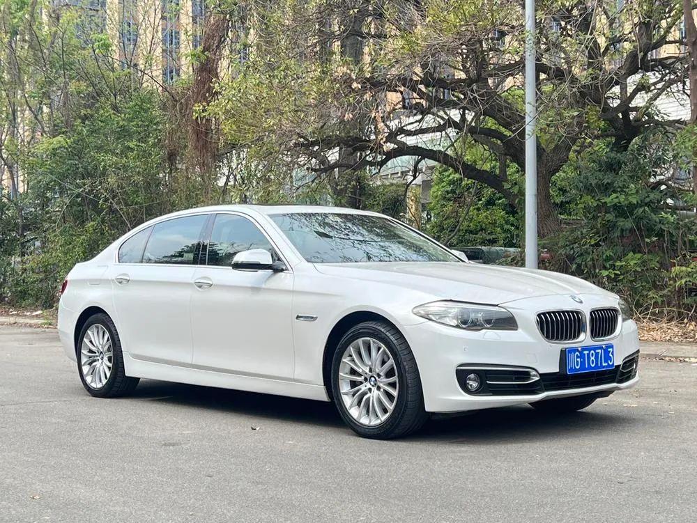 BMW 5-Series 525Li Luxury, 2014 — фото 1