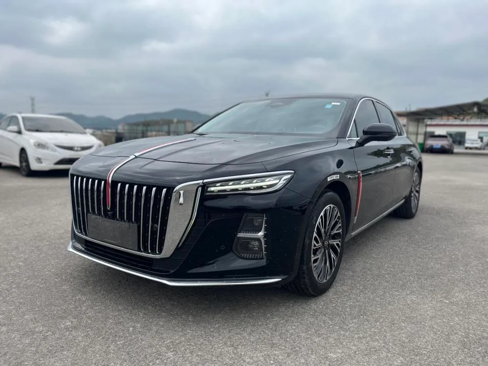Hongqi H5, 2024