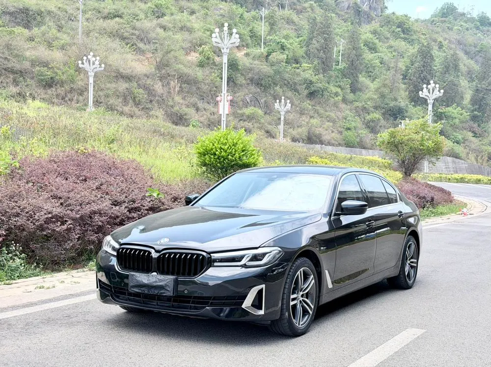 BMW 5-Series Facelift 530Li Leading Version Luxury, 2022 — фото 1