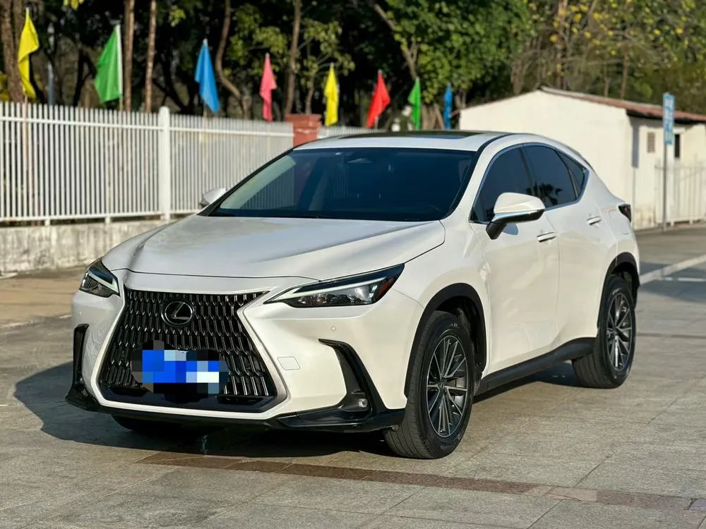 Lexus NX 260 FWD Joy Edition, 2022 — фото 1