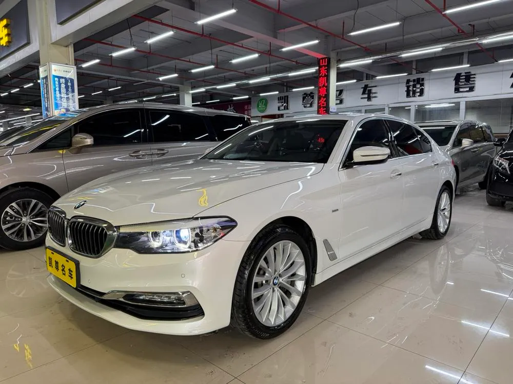 BMW 5-Series 530Li Prestige Version Luxury, 2018 — фото 1