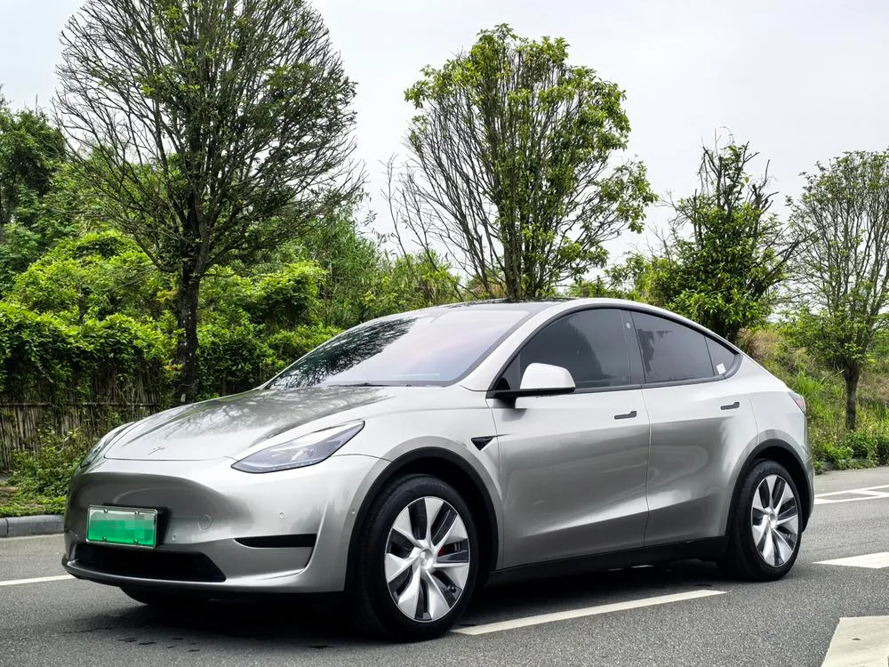 Tesla Model Y, 2022